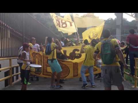 "Banda 1981 Entrando A La Tribuna!" Barra: Tribu Guerrera • Club: Trujillanos