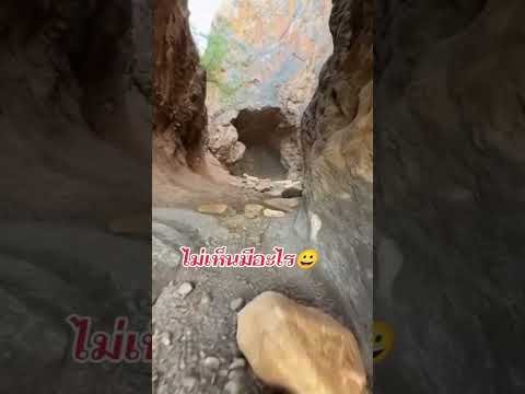 พยานาคโผล่ในสระทองคำ😱😱