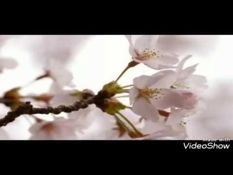 उठो सोने वालों सबेरा हुआ है - भजन