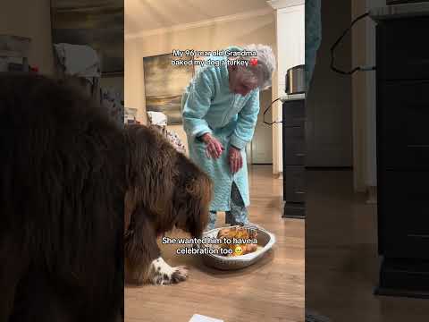 Dogsgiving 🥹🐾❤️🥰