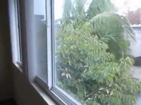 PL6256 - Spacious 1 Bed + Den + 1 Bath Apartment For Rent (West Los Angeles, CA).