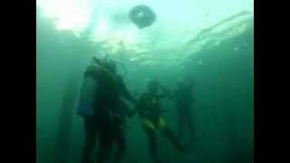 preview picture of video 'PADI Open Water Diver Course with Brisbane Dive Academy 20-5-12.MP4'