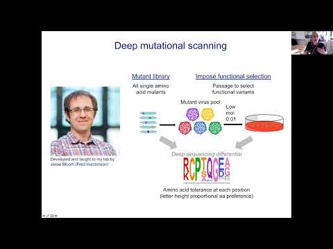 Matthew Evans: Deep mutational scanning of flaviviruses