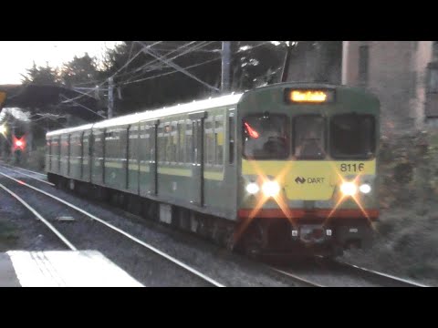 Irish Rail 8100 Class Dart Train 8116 - Sydney Parade Station, Dublin