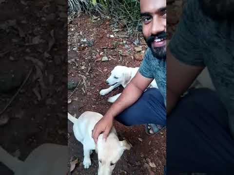 #Tomy and Julie💪🌄🌄🌄