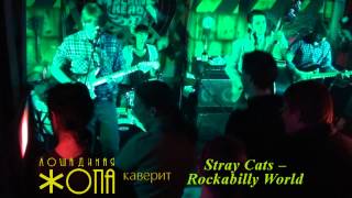 ЛОШАДИНАЯ ЖОПА каверит Stray Cats -- Rockabilly World