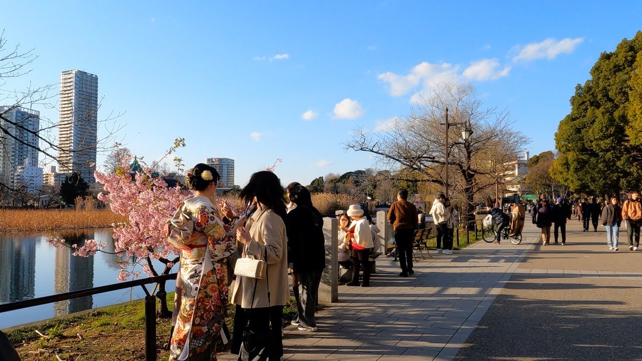 Embark on an invigorating walking tour through scenic Ueno Park.