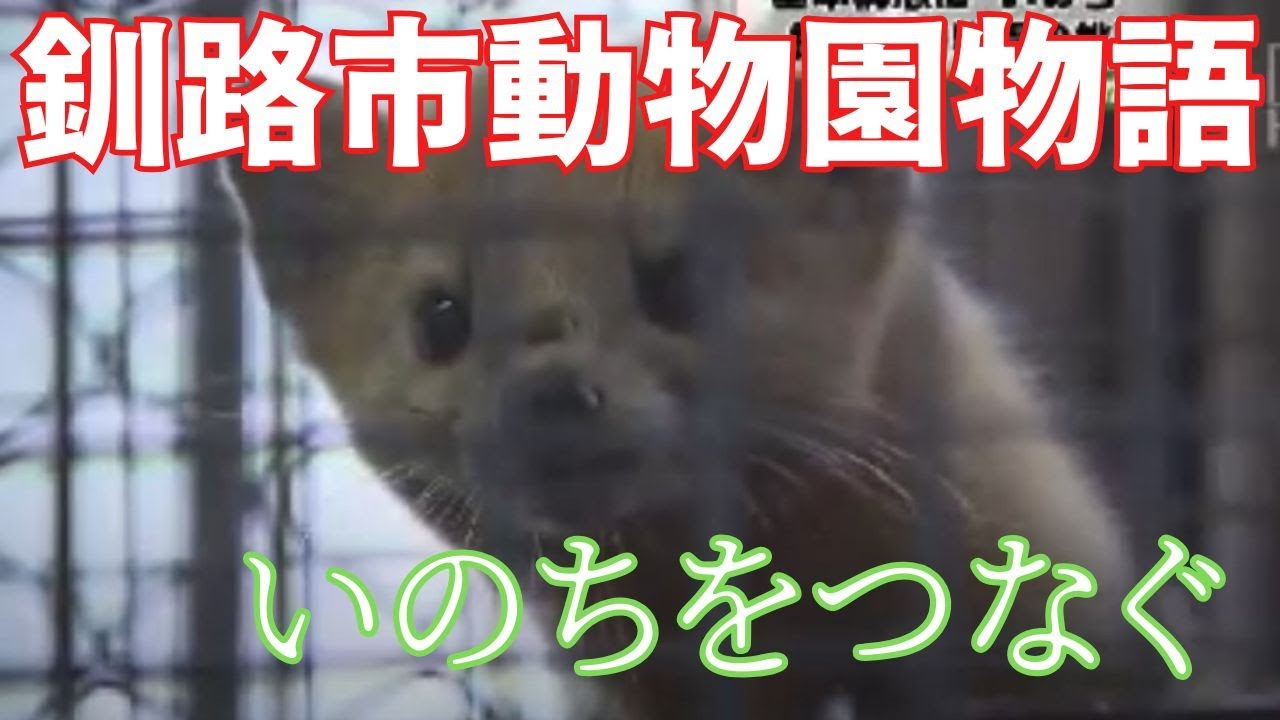 釧路市動物園物語