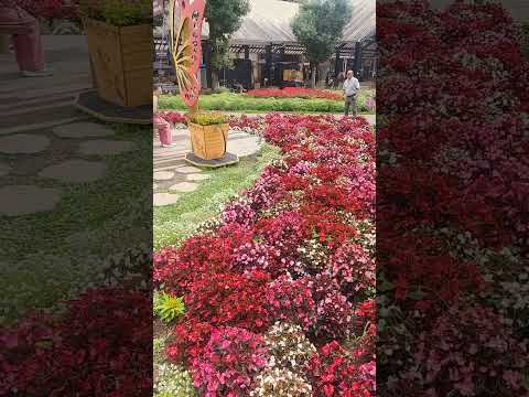 # shorts #novapetrópolis # passeio # turismo #riograndedosul #brasil #