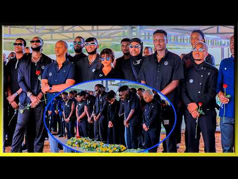 vp-g13