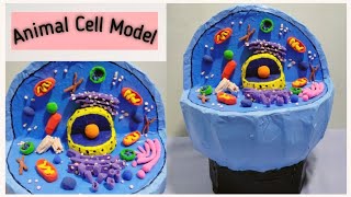 Animal Cell 3D Model | Using Cardboard | For School Projects | @simpleandeasyprojects9476