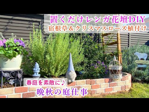 園芸 ラベンダーを蒔いて花壇を拡張しましょう