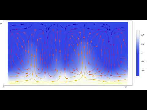 基礎理工学科 Coupled map lattice model for Rayleigh Benard Convection