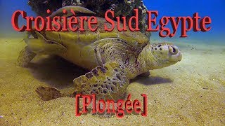 preview picture of video 'Croisère Sud Egypte -  Centre DUNE plongée - GoProHD2 + SRP - 2013'