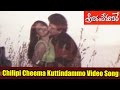 Chilipi Cheema Kuttindammo Video Song Srivarante Maavare Movie Suman Vijayashanthi