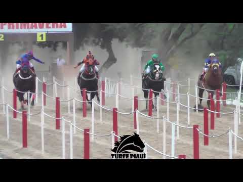 [🎬Cortes] - HELICE STRAW HRZ, se classifica no 2º Pareo - Haras Primavera 2021