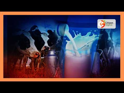 Wakazi wa Nandi wahimizwa kuongeza idadi ya ng'ombe wa maziwa ili kuongeza uzalishaji wa maziwa