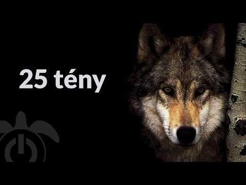 farkaslátás jellemzői