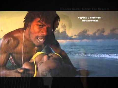 Throwback Riddim Mix 2011 ['No Doubt' Records] (Brand New February 2011)