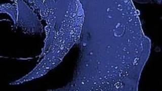 Ave Maria - by Megan Mullally