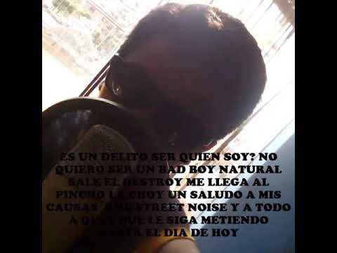 Lizer Milicia- De Servicio