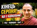 КІНЕЦЬ СЕРПНЯ НА ПАСІЦІ! Стан бджолиних сімей, відводки та відкачка меду