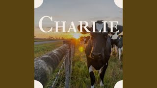 Why Can&#39;t He Be You