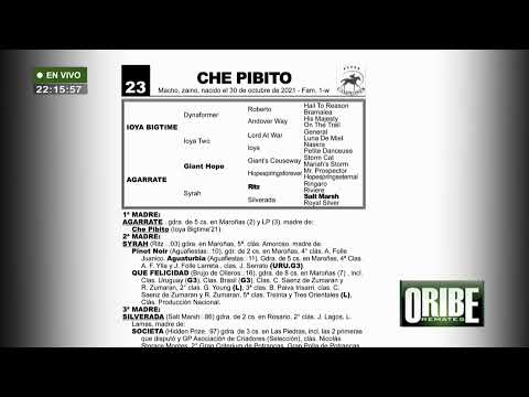 11/10/23 - HS. EL PALMAR & HS. HS. FIRMAMENTO  | Remate Primavera Gen. 2021