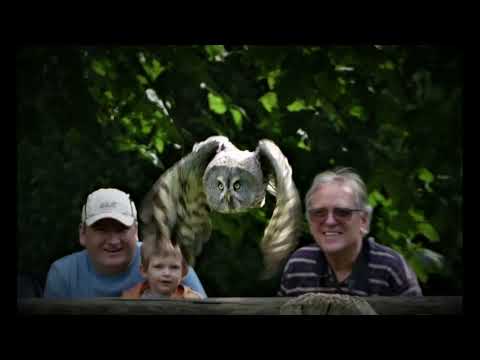 Besuch im Wisentgehege in Springe #wisentgehege #tierpark #deister