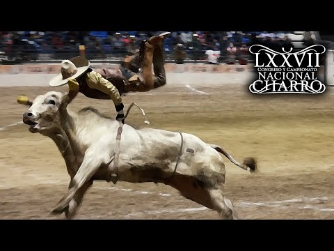 BULL RIDING day 20 semifinal - Aguascalientes Congress 2021