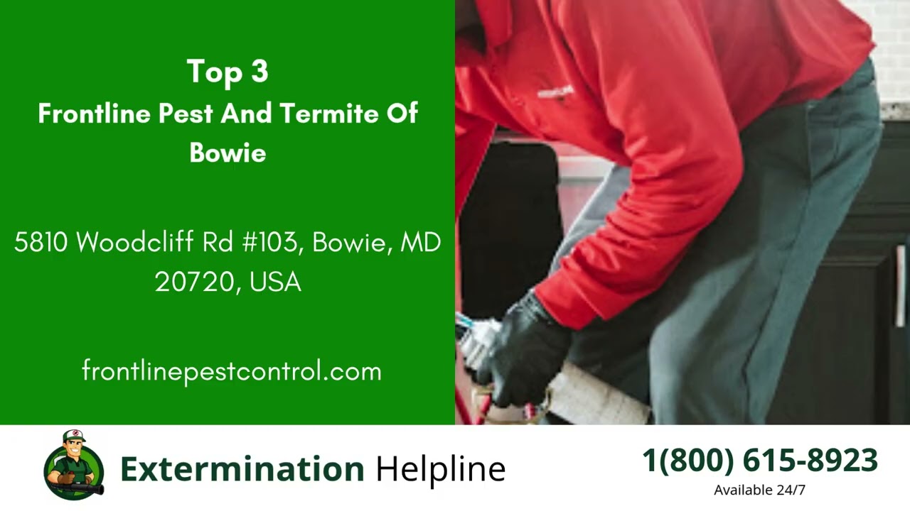 Top 3 Exterminators in Crofton