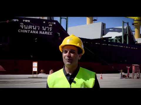 PVS International: A Global Leader in the Supply of Wood Products