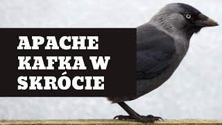 Jak działa Apache Kafka?