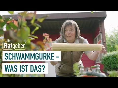 Sustainable gardening tips Small allotment garden - great freedom (5/5) | the counselors