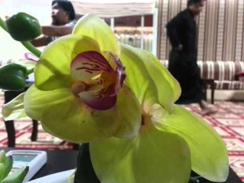 Aqeedah Lecture Part 18 sin Kitabut Tawheed (TAUSUG)