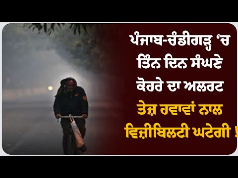 ਪੰਜਾਬ-ਚੰਡੀਗੜ੍ਹ ‘ਚ ਤਿੰਨ ਦਿਨ ਸੰਘਣੇ ਕੋਹਰੇ ਦਾ ਅਲਰਟ, ਤੇਜ਼ ਹਵਾਵਾਂ ਨਾਲ ਵਿਜ਼ੀਬਿਲਟੀ ਘਟੇਗੀ !