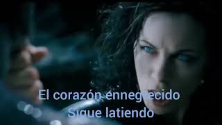 ARCH ENEMY -  A Fight I Must Win