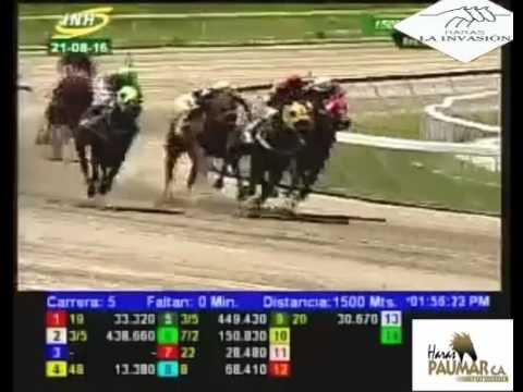 LA RINCONADA 5 CARRERA, DOMINGO 21 DE AGOSTO DLE 2016