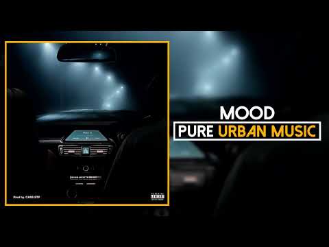 Fizzler - Mood | Pure Urban Music