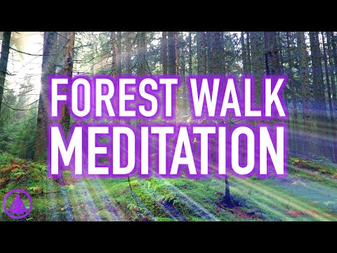Guided Forest Walk Meditation - Calming and Relaxing Mindfulness Activity