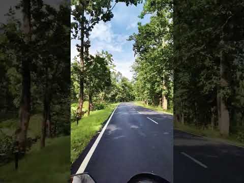 Ghatgaon to Harichandanpur . jay maa tarini #tarini #ghatgaon #harichandanpur #keonjhar