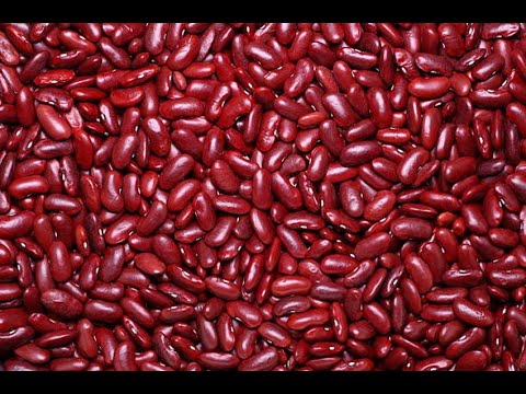 Kidney Beans 101 - Dried vs Canned - YouTube