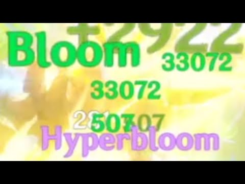Hyperbloom Damage Test - 900EM Kuki | Dendro Reactions