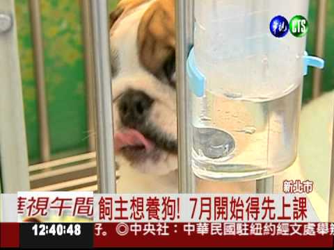 珍惜生命! 新北推養狗先上課