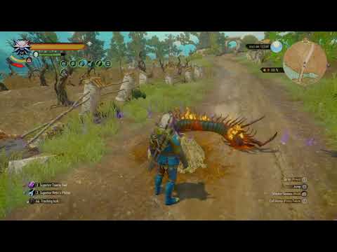 Cold Wind's Howling! Powerful Piercing Cold Build Witcher 3 (Update 4.0)