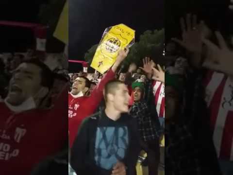 bage 1x4 GUARANY - Festa no chiqueiro