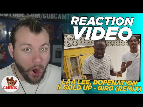 Laa Lee, DopeNation & Gold Up - Bird Remix Official Video | UK REACTION & ANALYSIS VIDEO / CUBREACTS
