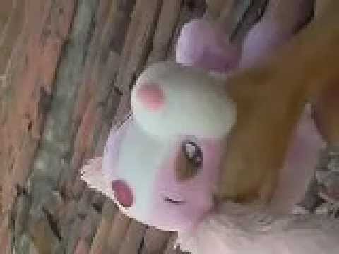 Yara a espancadora de animais