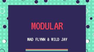Mad Flynn & Wild Jay - Modular // Out Now