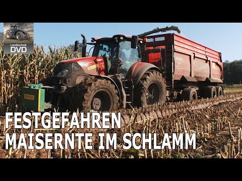 Mud Fight 2025 | Corn Harvest 2025 | Corn Chopping 2025 | Harvest 2025 | Mud Maize 2025 | Corn 2025